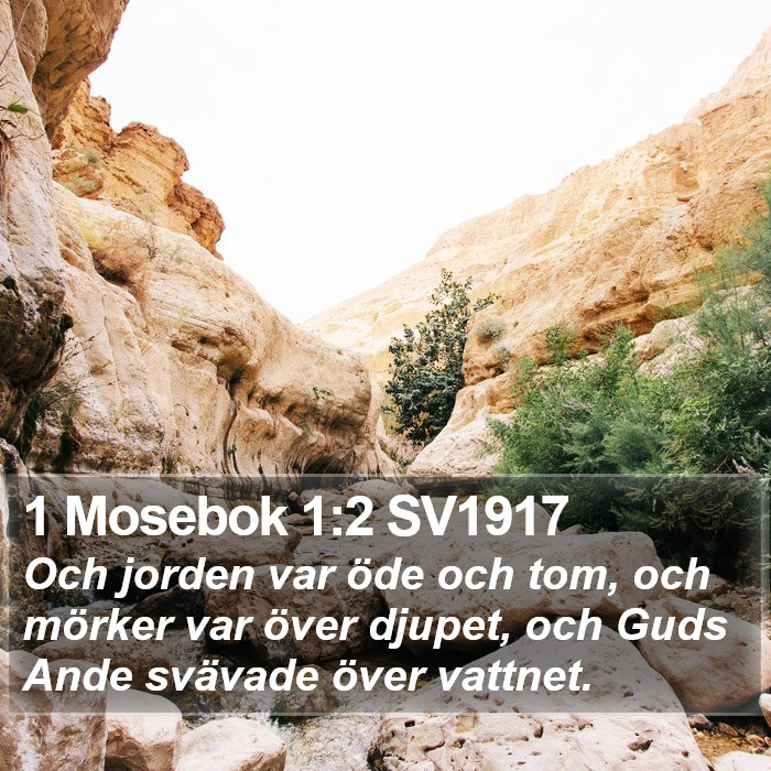 1 Mosebok 1:2 SV1917 Bible Study