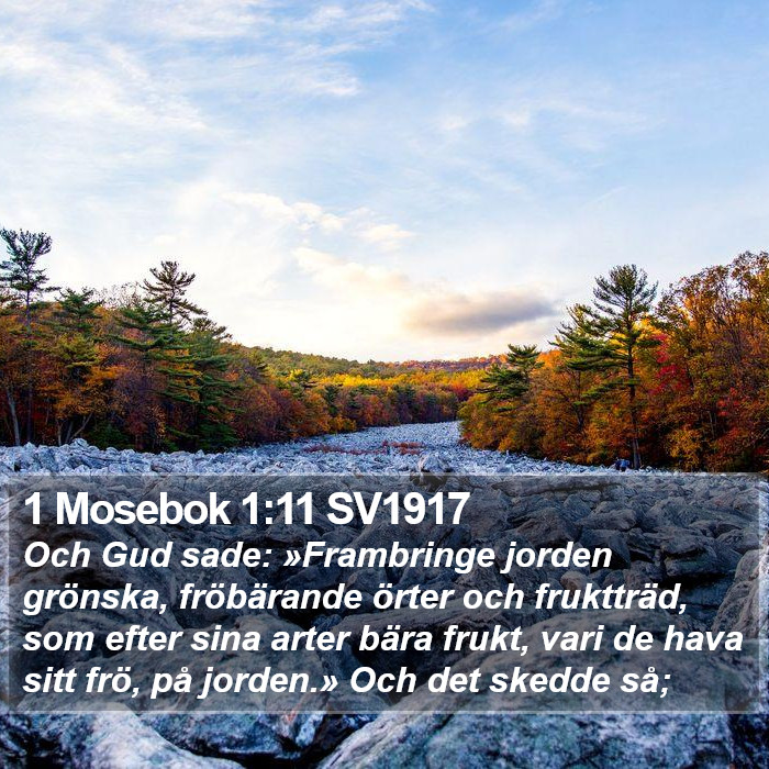 1 Mosebok 1:11 SV1917 Bible Study