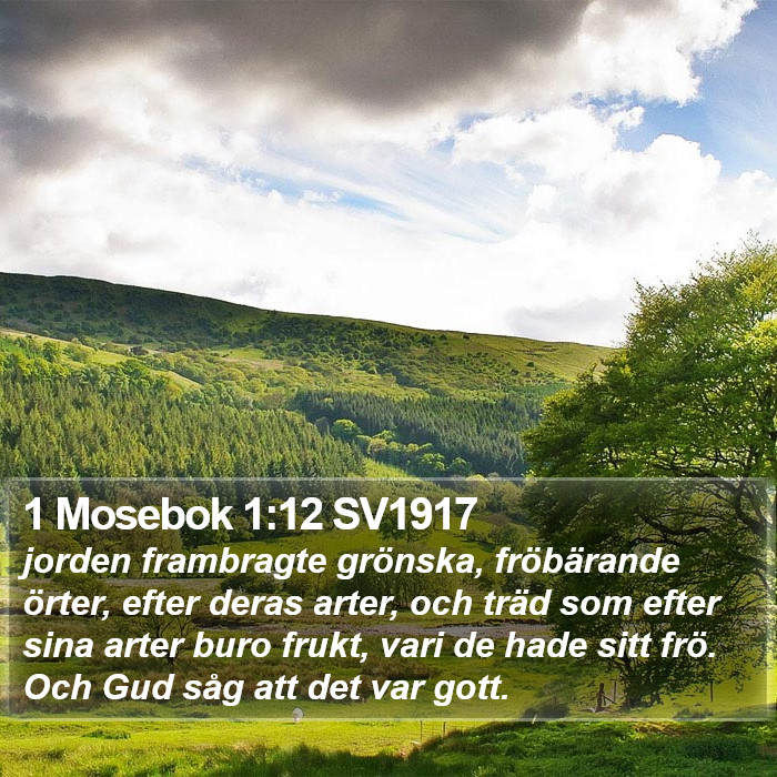 1 Mosebok 1:12 SV1917 Bible Study