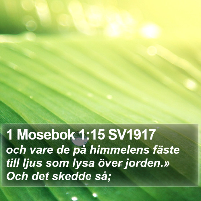 1 Mosebok 1:15 SV1917 Bible Study