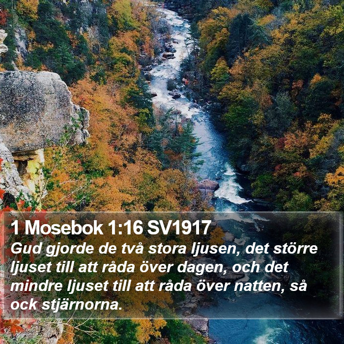 1 Mosebok 1:16 SV1917 Bible Study