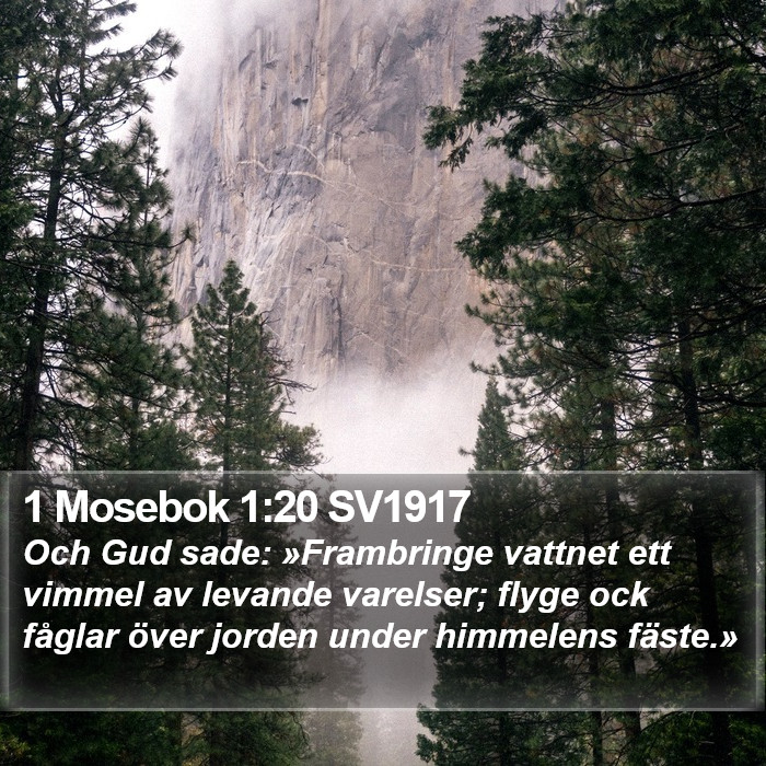 1 Mosebok 1:20 SV1917 Bible Study