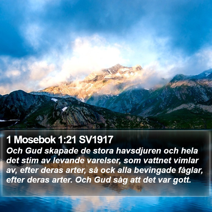 1 Mosebok 1:21 SV1917 Bible Study