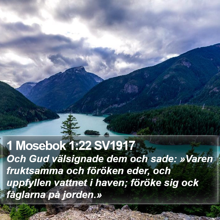 1 Mosebok 1:22 SV1917 Bible Study