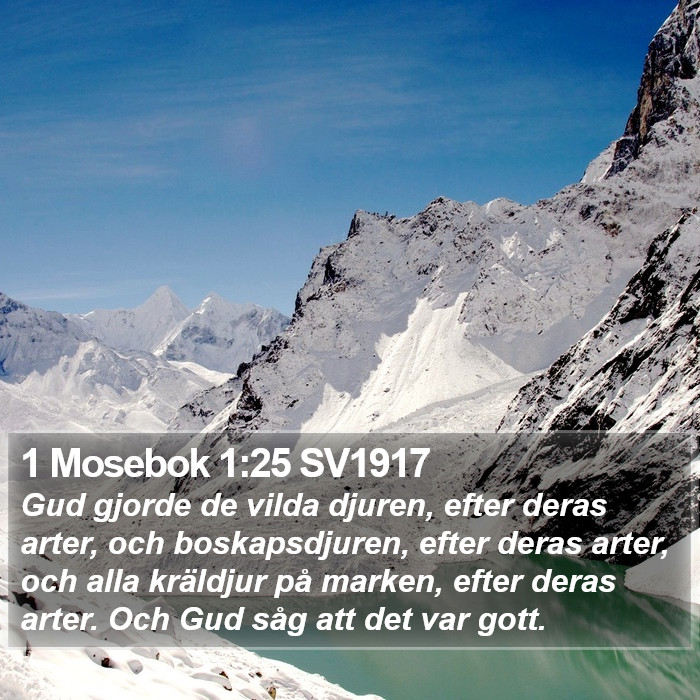 1 Mosebok 1:25 SV1917 Bible Study