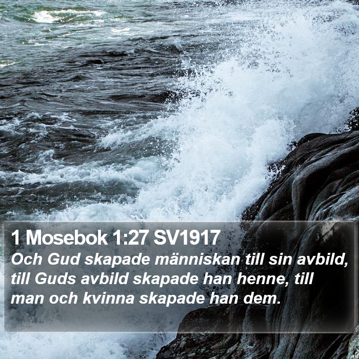 1 Mosebok 1:27 SV1917 Bible Study