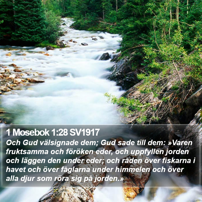 1 Mosebok 1:28 SV1917 Bible Study