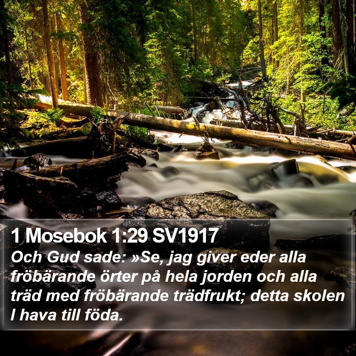 1 Mosebok 1:29 SV1917 Bible Study