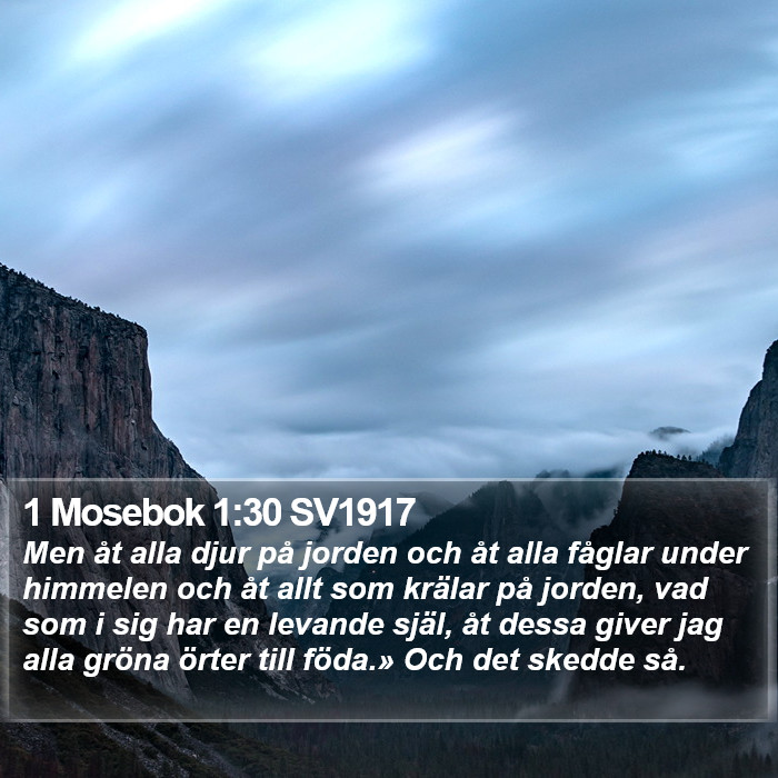 1 Mosebok 1:30 SV1917 Bible Study