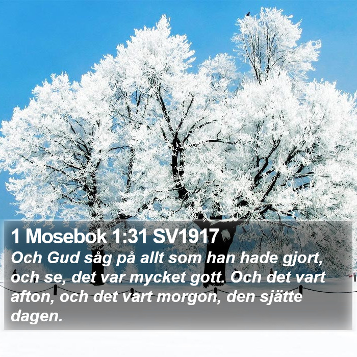 1 Mosebok 1:31 SV1917 Bible Study