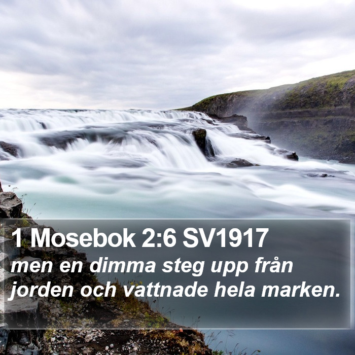 1 Mosebok 2:6 SV1917 Bible Study