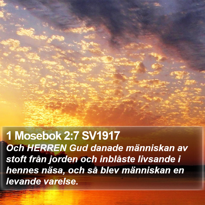 1 Mosebok 2:7 SV1917 Bible Study