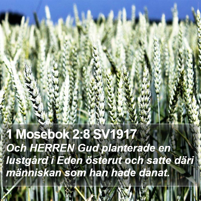 1 Mosebok 2:8 SV1917 Bible Study