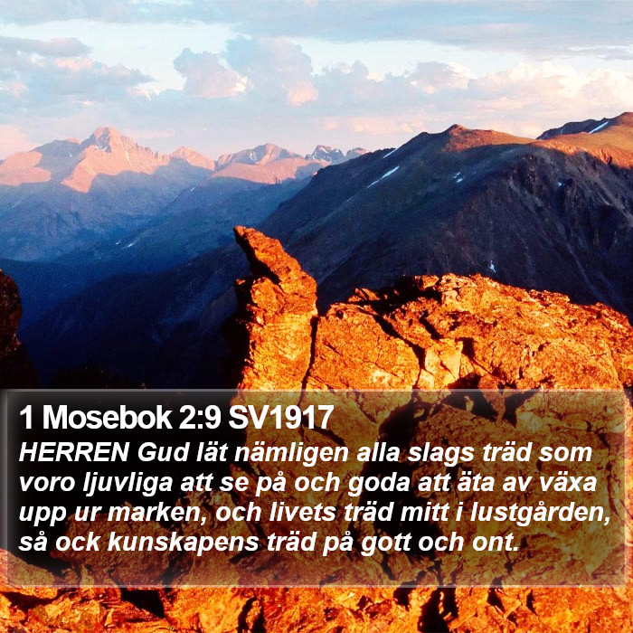 1 Mosebok 2:9 SV1917 Bible Study