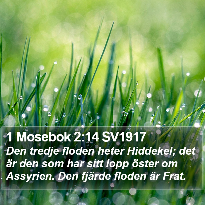 1 Mosebok 2:14 SV1917 Bible Study