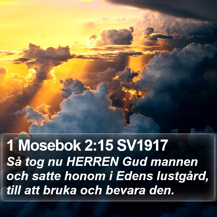 1 Mosebok 2:15 SV1917 Bible Study