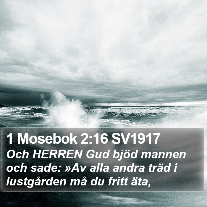 1 Mosebok 2:16 SV1917 Bible Study