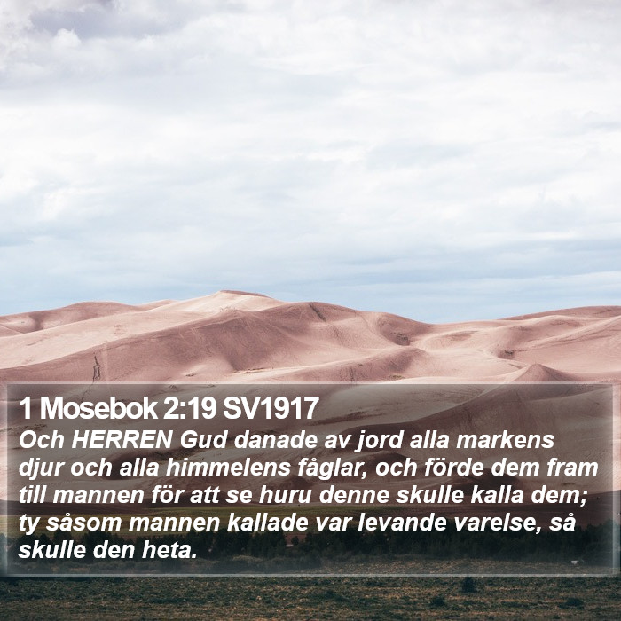 1 Mosebok 2:19 SV1917 Bible Study