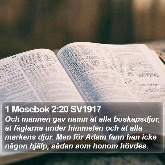 1 Mosebok 2:20 SV1917 Bible Study