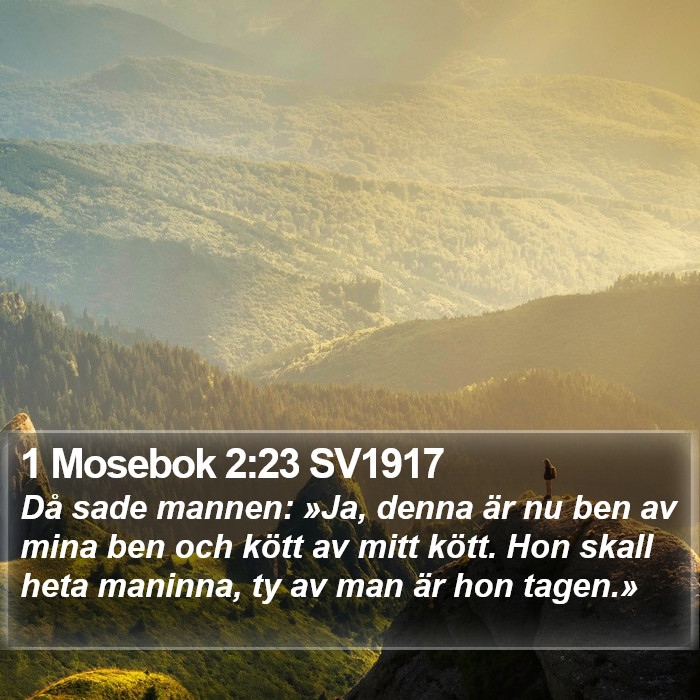 1 Mosebok 2:23 SV1917 Bible Study