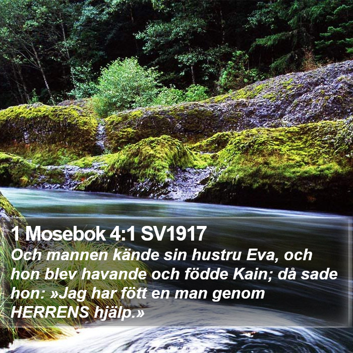 1 Mosebok 4:1 SV1917 Bible Study