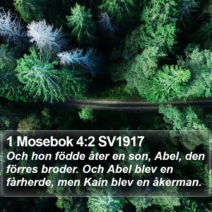 1 Mosebok 4:2 SV1917 Bible Study