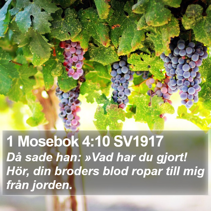 1 Mosebok 4:10 SV1917 Bible Study