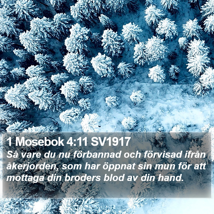 1 Mosebok 4:11 SV1917 Bible Study