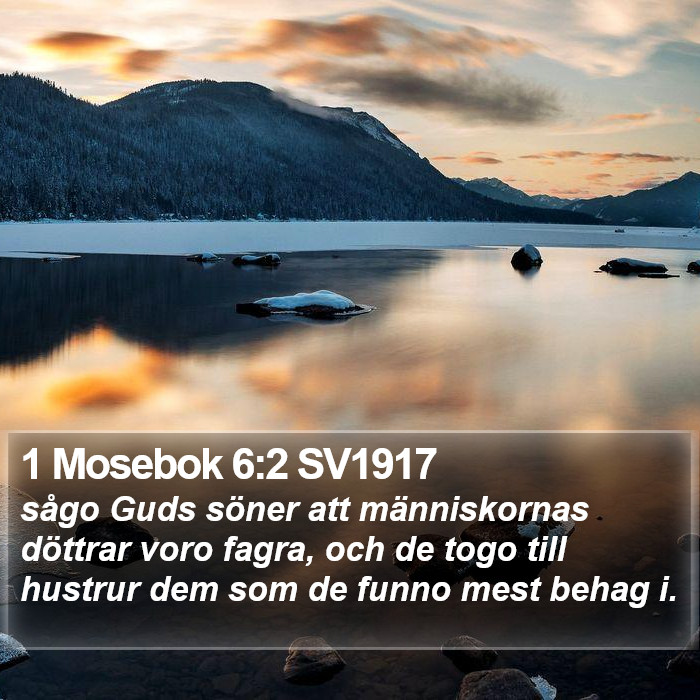 1 Mosebok 6:2 SV1917 Bible Study