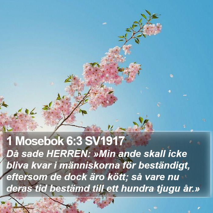 1 Mosebok 6:3 SV1917 Bible Study