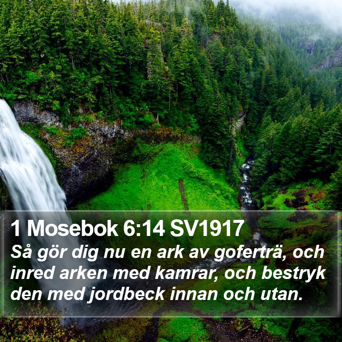 1 Mosebok 6:14 SV1917 Bible Study