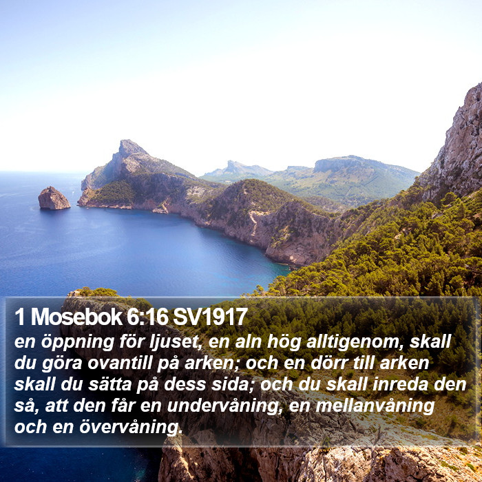 1 Mosebok 6:16 SV1917 Bible Study