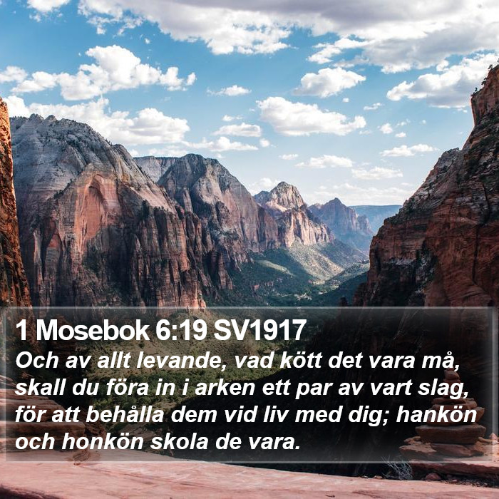 1 Mosebok 6:19 SV1917 Bible Study