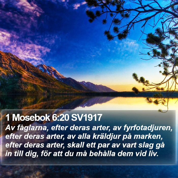 1 Mosebok 6:20 SV1917 Bible Study