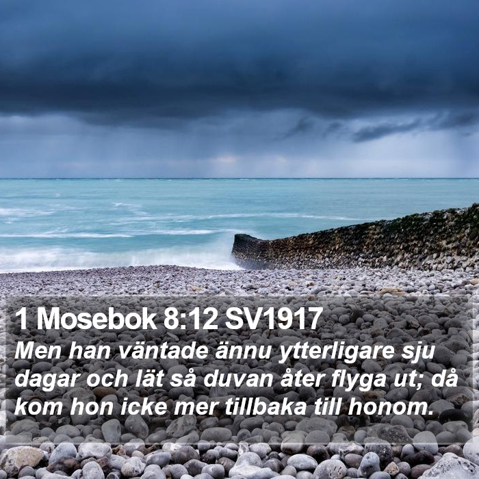 1 Mosebok 8:12 SV1917 Bible Study