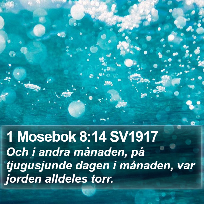 1 Mosebok 8:14 SV1917 Bible Study