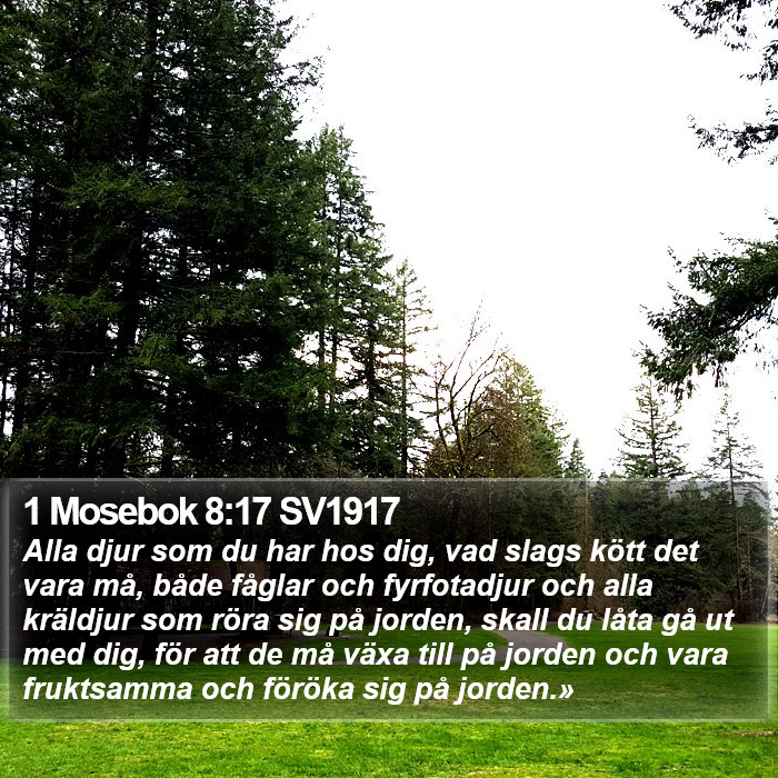 1 Mosebok 8:17 SV1917 Bible Study
