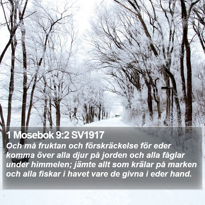 1 Mosebok 9:2 SV1917 Bible Study