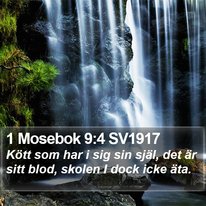 1 Mosebok 9:4 SV1917 Bible Study