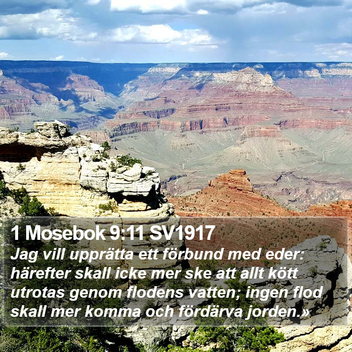 1 Mosebok 9:11 SV1917 Bible Study