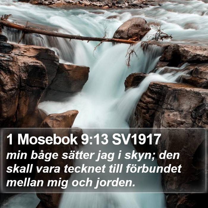 1 Mosebok 9:13 SV1917 Bible Study