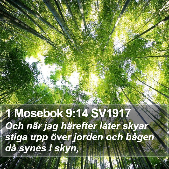 1 Mosebok 9:14 SV1917 Bible Study