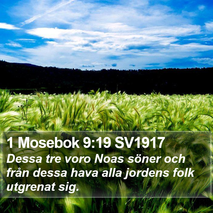 1 Mosebok 9:19 SV1917 Bible Study