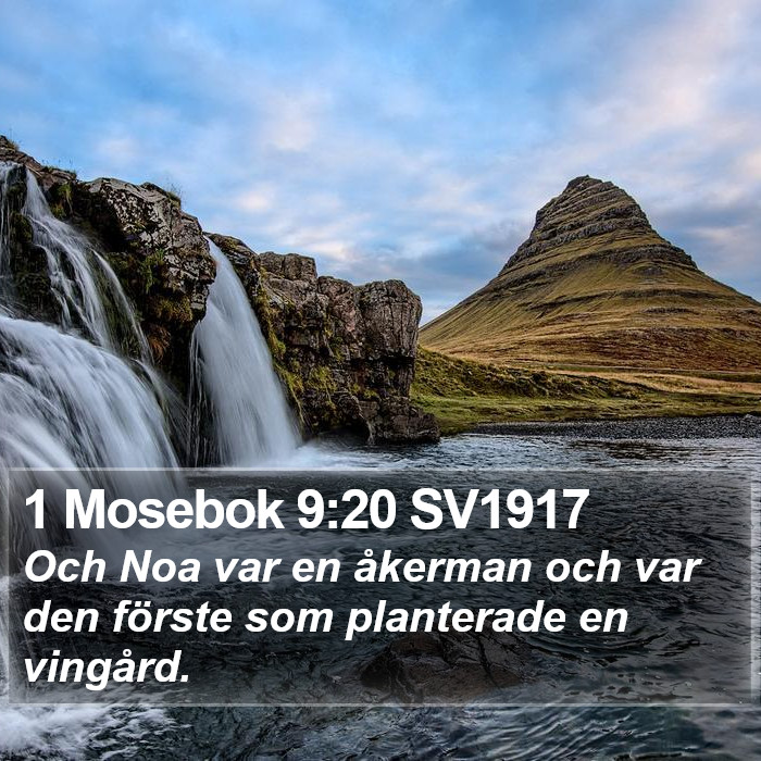 1 Mosebok 9:20 SV1917 Bible Study