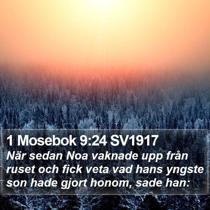 1 Mosebok 9:24 SV1917 Bible Study