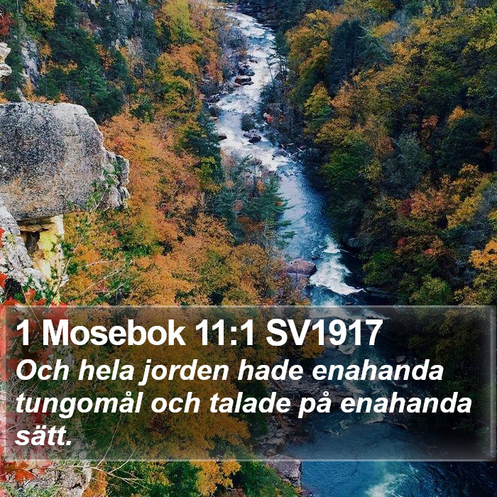 1 Mosebok 11:1 SV1917 Bible Study