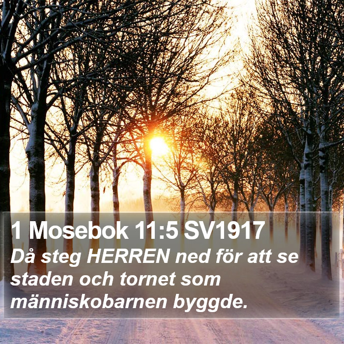 1 Mosebok 11:5 SV1917 Bible Study
