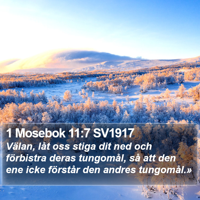 1 Mosebok 11:7 SV1917 Bible Study