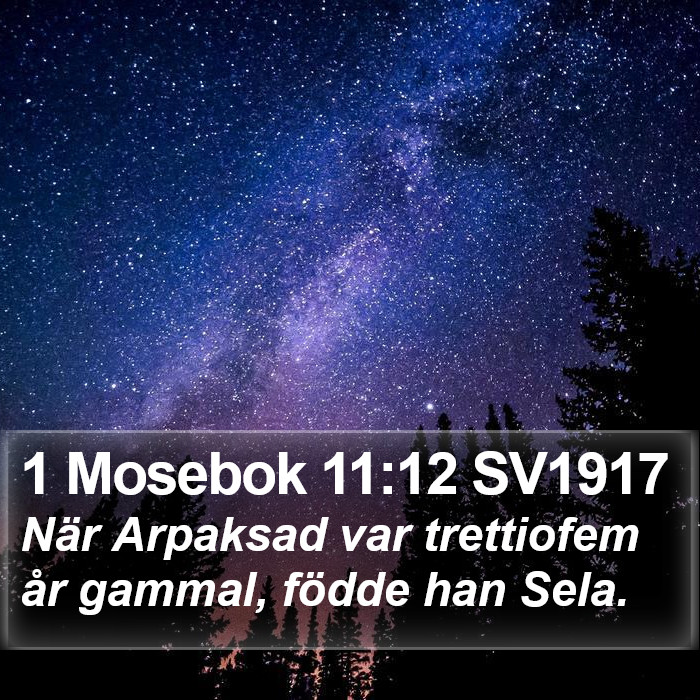 1 Mosebok 11:12 SV1917 Bible Study