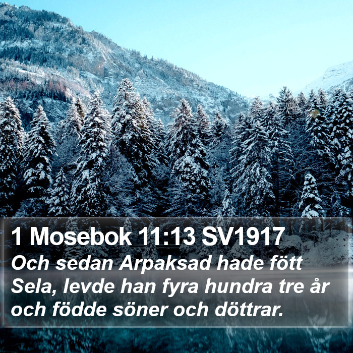 1 Mosebok 11:13 SV1917 Bible Study